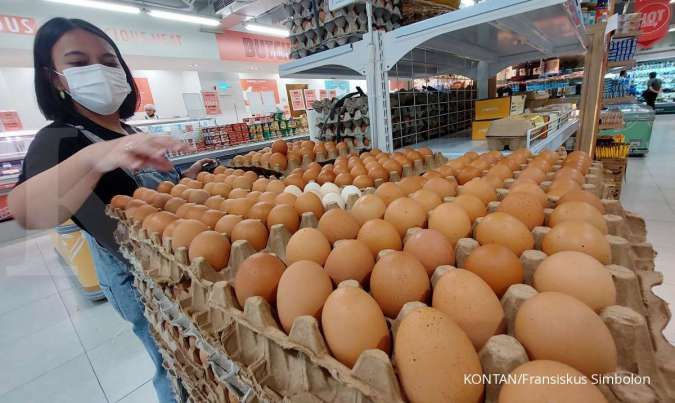 Harga Telur Ayam Masih Tinggi, Ini Upaya Pemerintah untuk Mengatasinya 