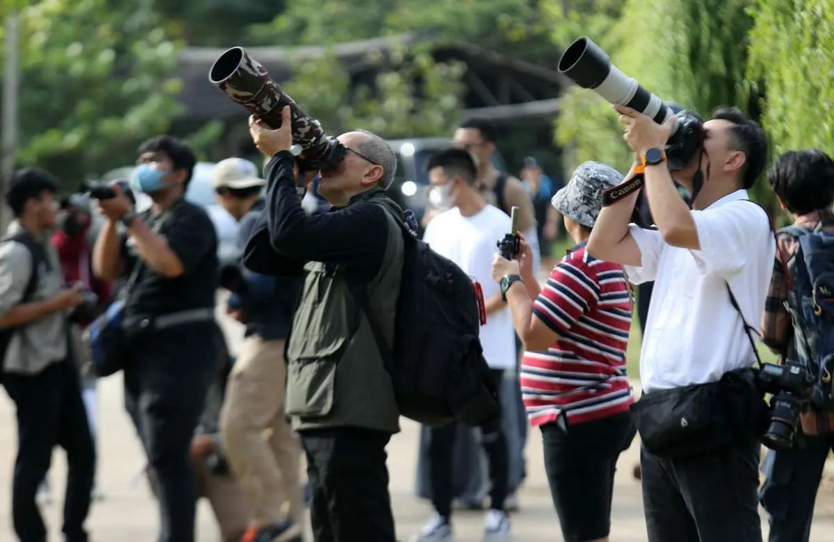 Rayakan Hari Cinta Puspa&Satwa Nasional KEHATI &PFI Jakarta Gelar Lomba Foto &Pameran