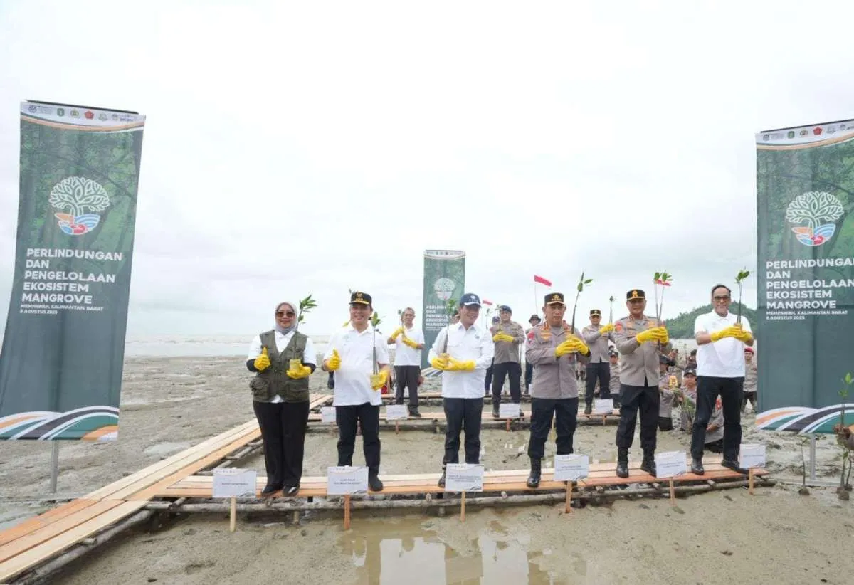 Antam Tanam 1,16 Juta Mangrove Jaga Pesisir Indonesia
