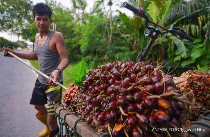 Indonesia Plans to Add Palm Oil to Government's Online Tracking System