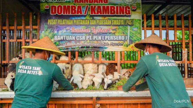 Melalui TJSL, PLN Dongkrak Perekonomian dan Kemandirian 71 Desa