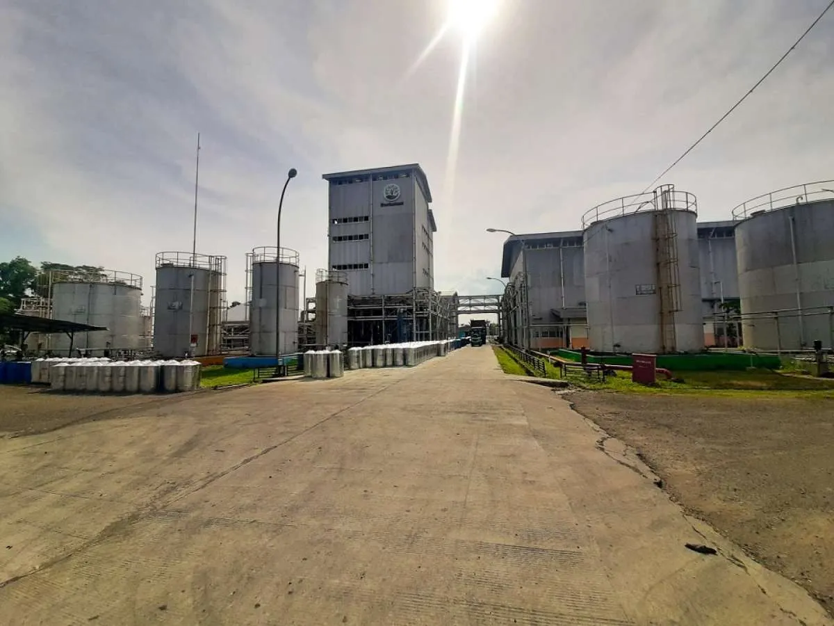 Perhutani Raih Sertifikat Ekolabel Industri Gum Rosin Pertama di Asia Tenggara