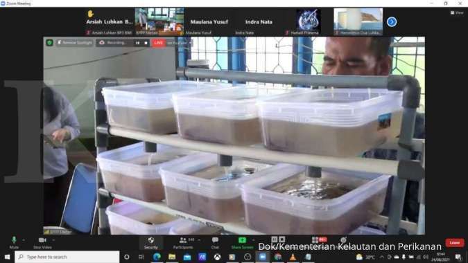 Dukung LIN, KKP Gelar Pelatihan Budidaya Ikan Sistem Bioflok