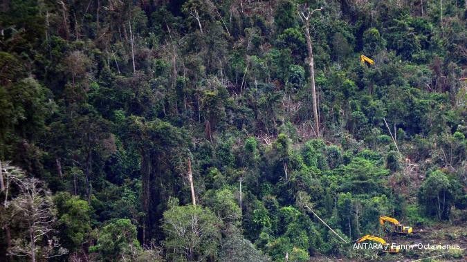 Moratorium izin hutan berlanjut