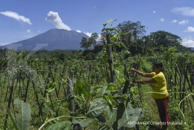 OJK issues special regulation for Karangasem