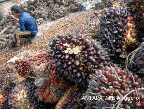 GIMNI minta realisasi cluster industri kelapa sawit 