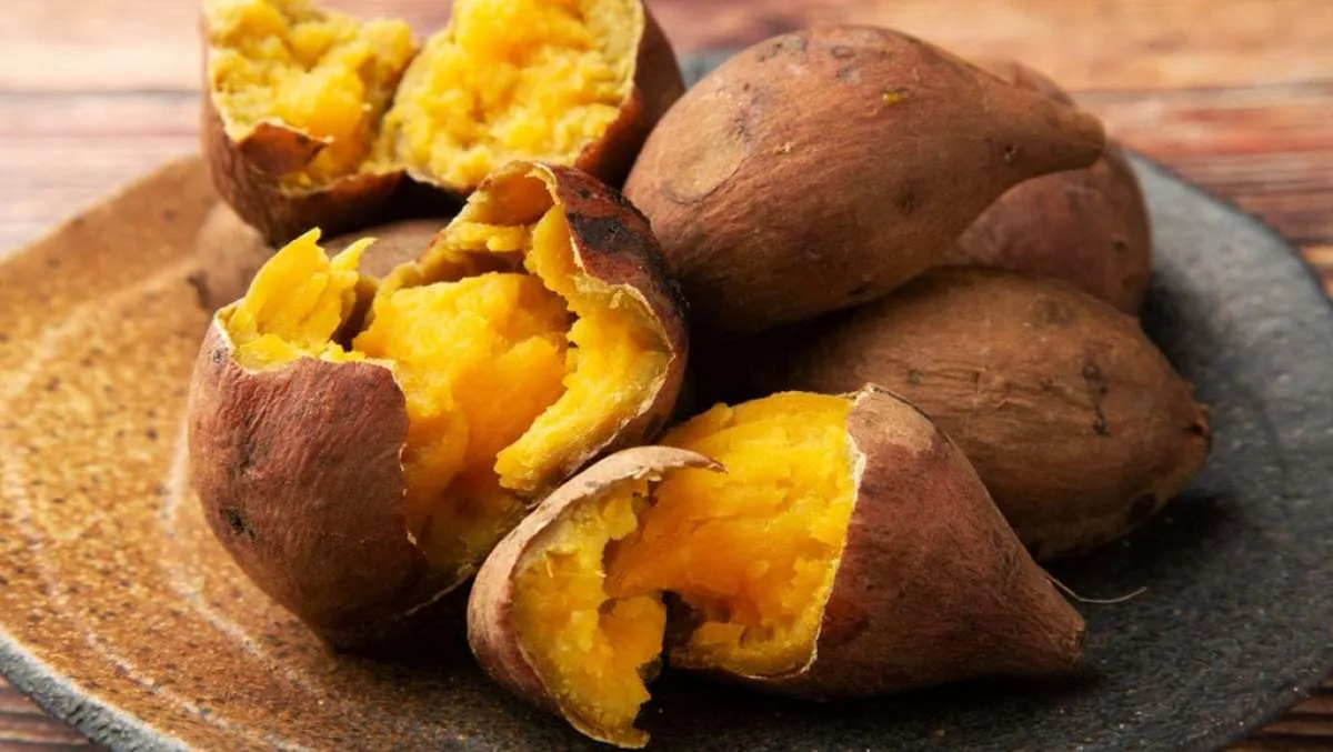 Benarkah Ubi Cilembu Bagus Dikonsumsi ketika Diet? Ini Jawabannya