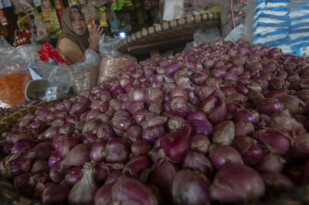 Badan Pangan Nasional Beberkan Penyebab Kenaikan Harga Bawang Merah