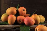 15 Makanan yang Menjadi Sahabat bagi Kesehatan Usus