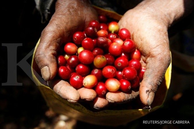 Perubahan iklim mengancam spesies kopi, pebisnis dan para pecintanya