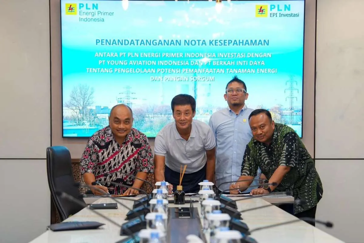 PLN EPI Garap Biomassa Sorgum, Gandeng Dua Mitra Dukung Co-firing PLTU