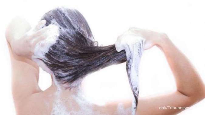  shampo untuk rambut kering