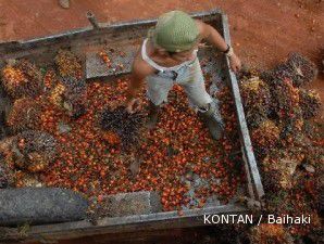 Setelah reli tinggi, kontrak harga CPO turun gunung