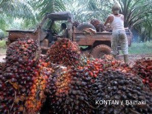 Harga CPO turun ke level terendah dalam sepekan terakhir