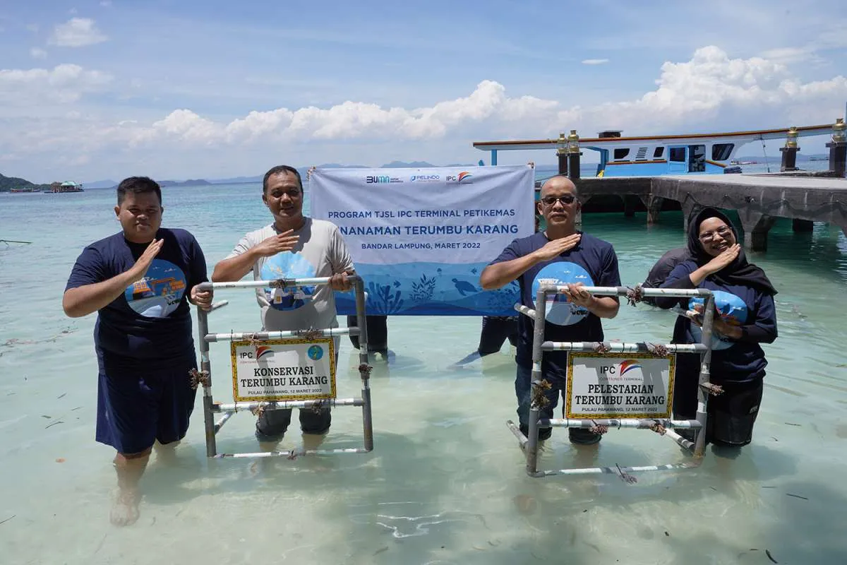 Lindungi Ekosistem Laut, IPC TPK Kembali Tanam Terumbu Karang