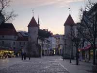 Loncatan Harimau Mengawali Pembentukan Masyarakat Digital