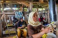 Pengamat Menilai Insentif PPh Final UMKM Sebaiknya Tetap Dibatasi Waktu