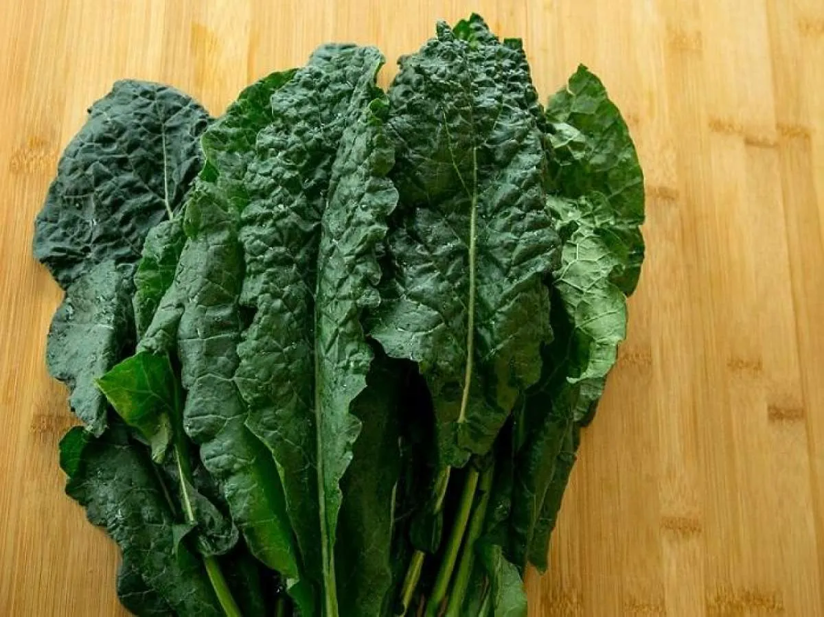 Moms, Ketahui 4 Manfaat Sayur Kale untuk Kecantikan Kulit