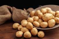 Perselisihan Bea Masuk Kentang Beku, WTO Dukung Uni Eropa