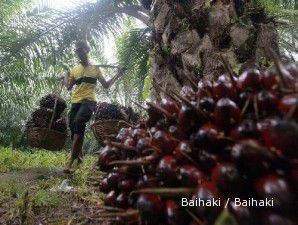 Stok diproyeksi melonjak, CPO anjlok ke level terendah setahun