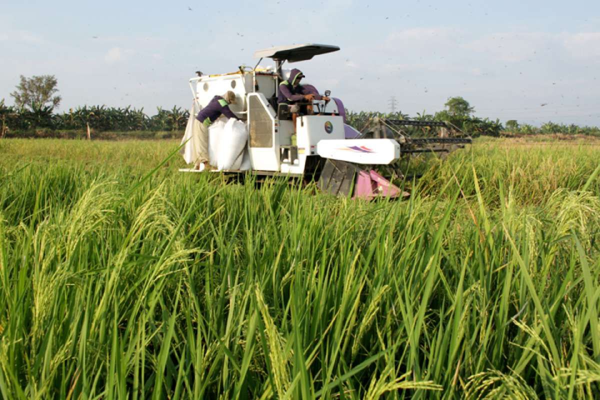Kemendag Cabut Empat Aturan Terkait Pangan