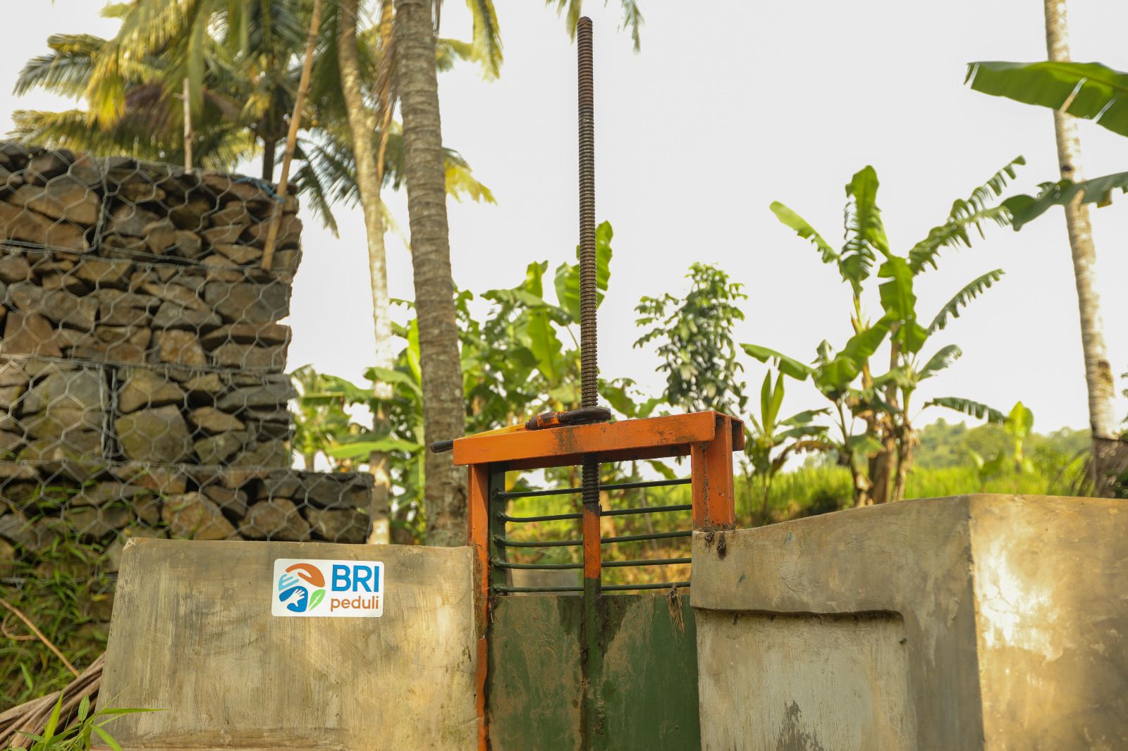 Kontan - BRI Kilas Online