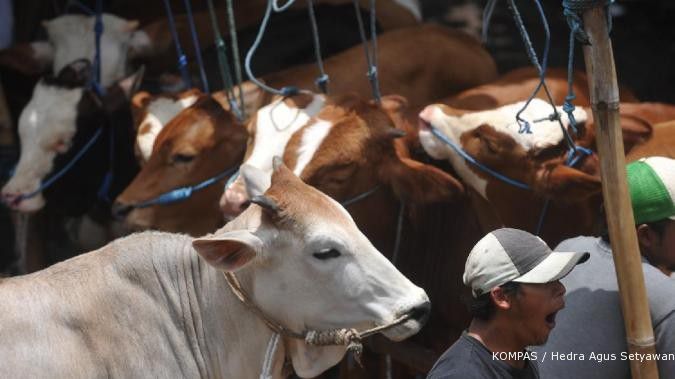Berdikari targetkan produksi 100.000 sapi