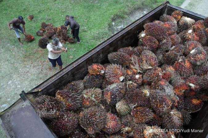 Analis Kebijakan Industri Sawit Sebut Perang India-Pakistan Ancam Rantai Pasok Global