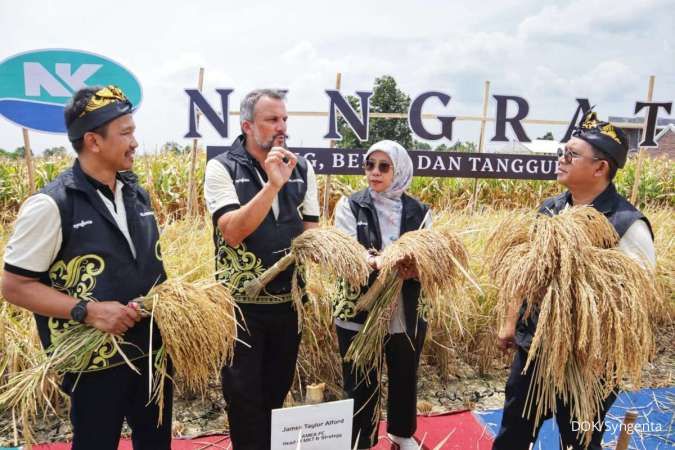 Syngenta Luncurkan Benih Ningrat, Produktivitas Padi Diklaim Capai 13,9 Ton/Hektar