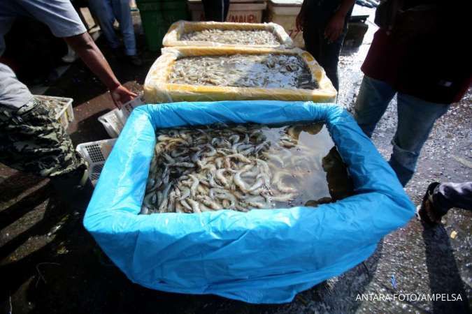 Udang Indonesia Tercemar Radioaktif, Pemerintah Tutup Sumber Pencemaran
