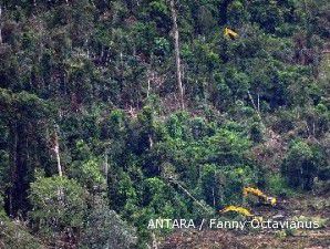 Luas hutan yang masuk moratorium 64 juta hektare