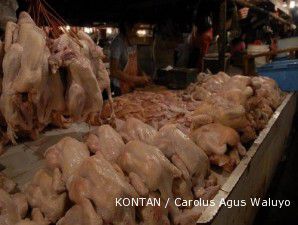 Industri daging ayam siap naikkan harga