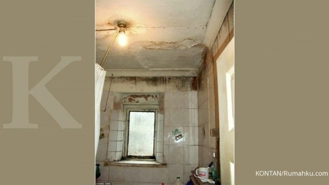 Cara Efektif Membersihkan dan Mencegah Jamur Mitam di Rumah