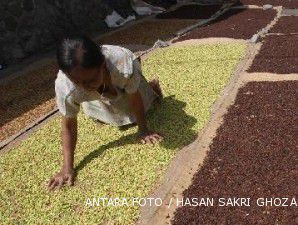 Pasokan tipis, harga cengkeh terkerek naik