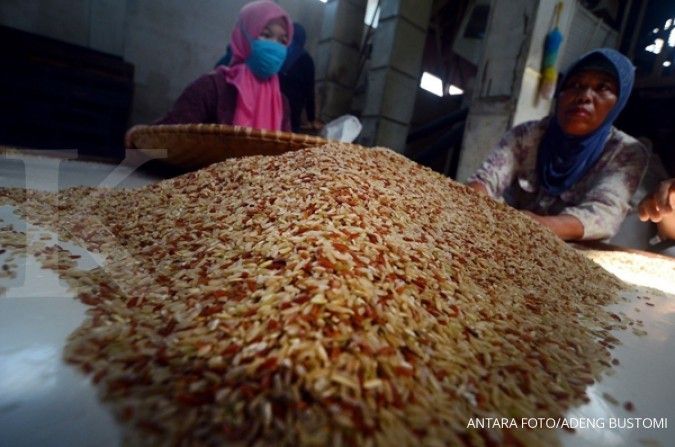 Kemtan genjot ekspor beras organik 