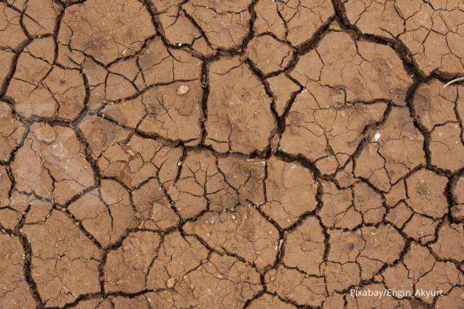 Berlebihan Menggunakan Pupuk Kimia Dapat Sebabkan Kerusakan-Kerusakan Ini