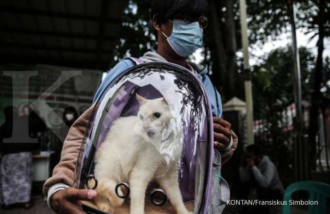 Daftar Hari Besar 2 Maret: Ada Hari Tenis Sedunia hingga Misi Penyelamatan Kucing