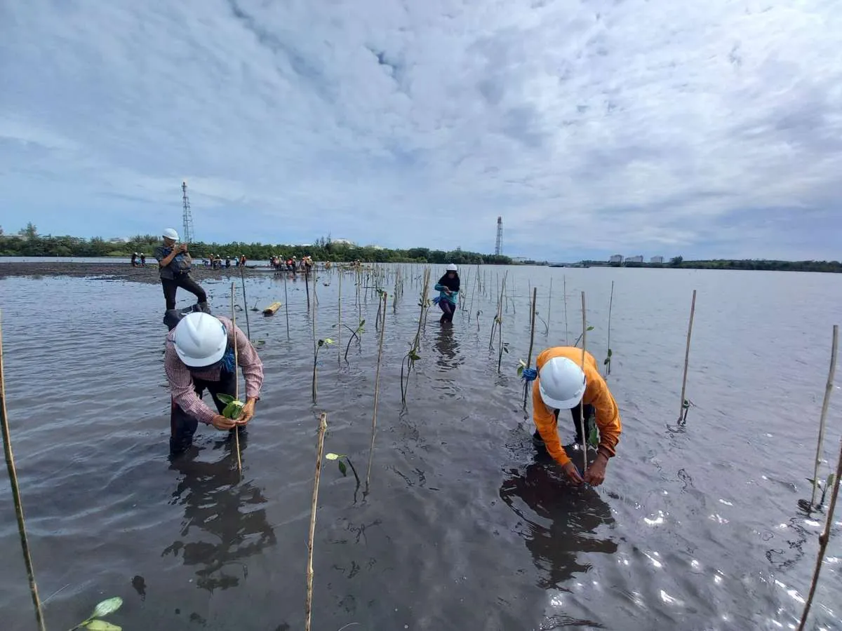Blue Carbon Initiative Pertamina Foundation Raih Environment Initiative of The Year