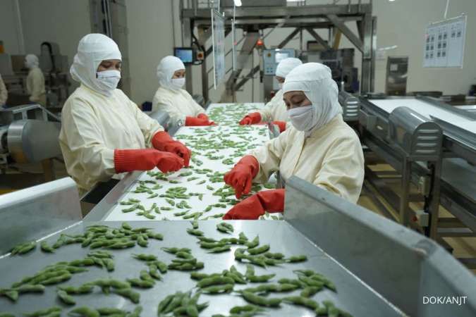 Austindo (ANJT) Beri Pinjaman Rp 2 Triliun ke Anak Usaha, Bunga 8,5% per Tahun