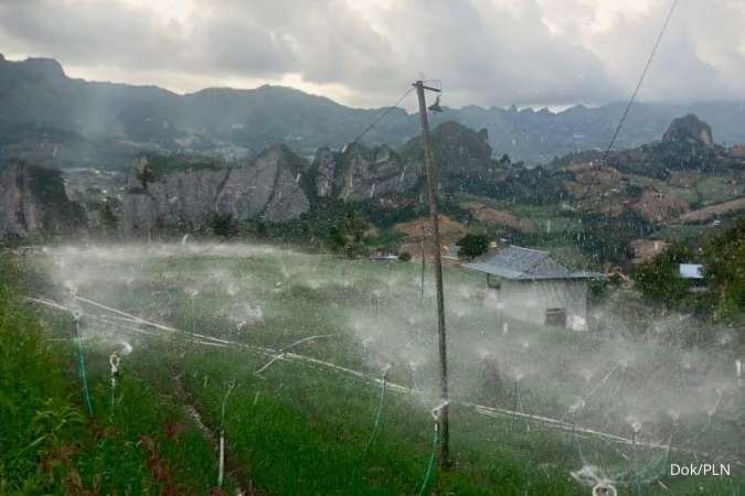 Electrifying Agriculture PLN Mampu Tekan Biaya Operasional Petani Bawang di Enrekang