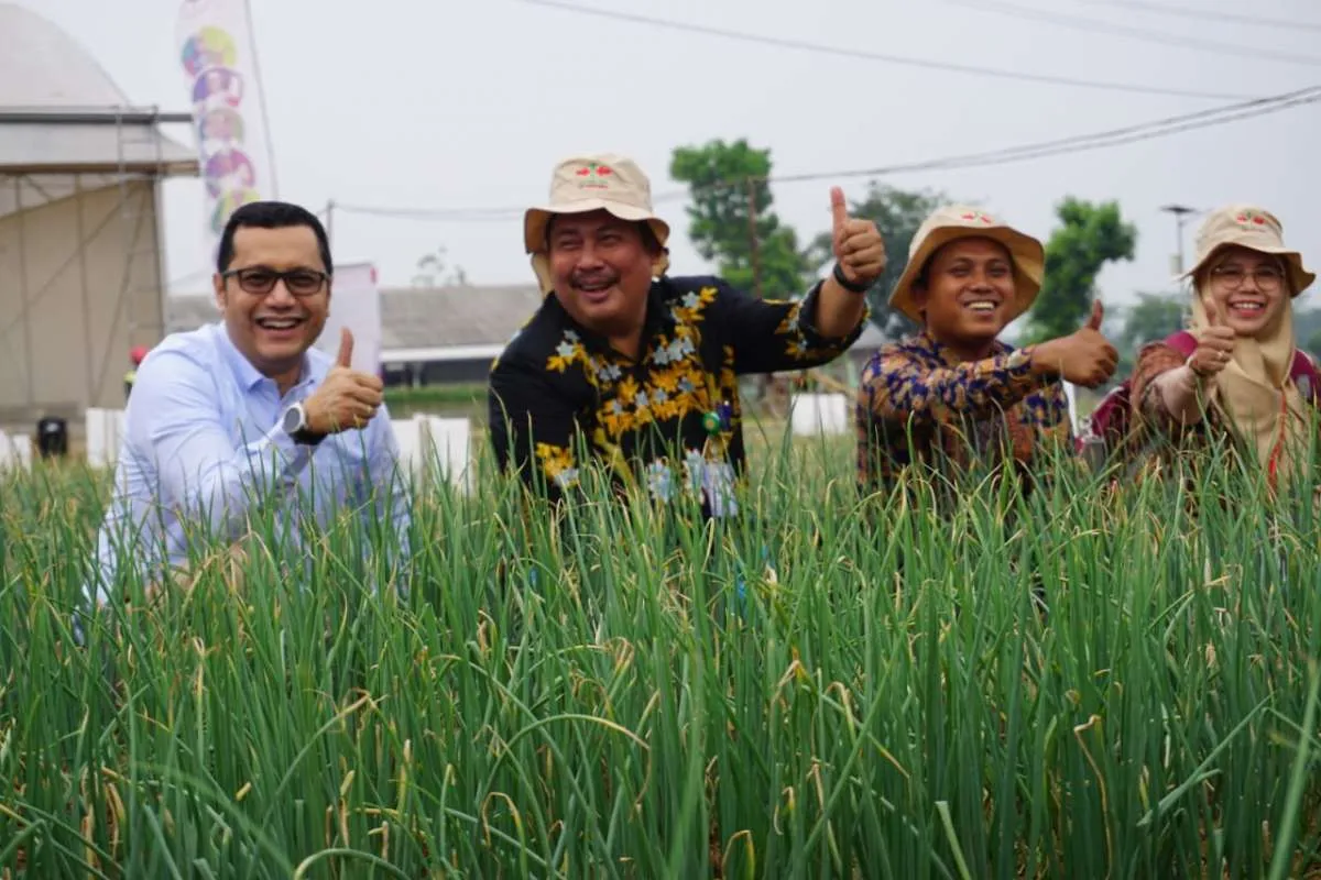 Kementan alokasikan anggaran hortikultura Rp 1,08 triliun di 2020, ini rinciannya