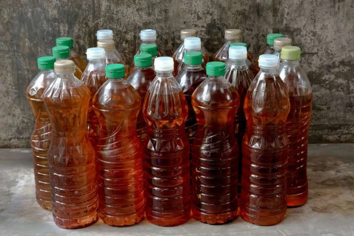 Digunakan untuk biodiesel, Belanda jadi tujuan ekspor utama minyak jelantah Indonesia