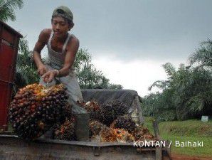 Swasta harus gandeng petani kelapa sawit untuk hadapi ISPO