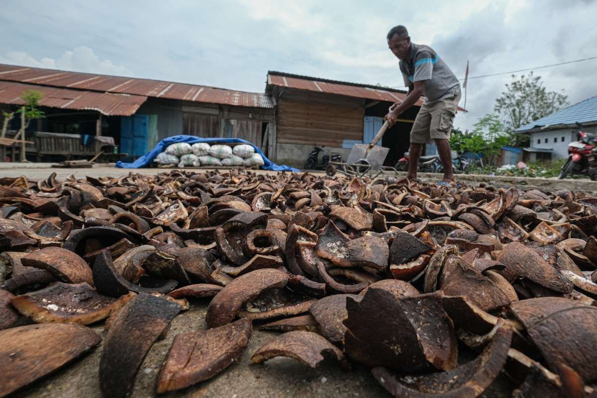 Emiten Pertambangan Nikel Ini Mau Minta Restu Garap Perkebunan Kelapa