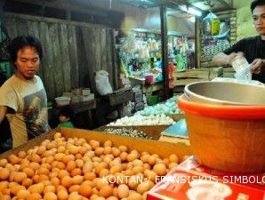 Pasokan berlimpah, harga telur ayam ras terus merosot 