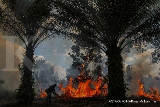Kebakaran hutan dan lahan menyebabkan kerugian miliaran dollar AS