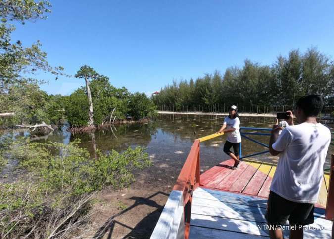 Karbon Biru, Harta Karun Jumbo yang Tersembunyi di Pesisir Indonesia