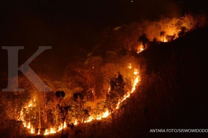 Empat bulan, hutan terbakar capai 2,1 juta ha