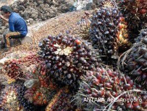 Stok kedelai terancam cuaca buruk, harga CPO akhirnya rebound 