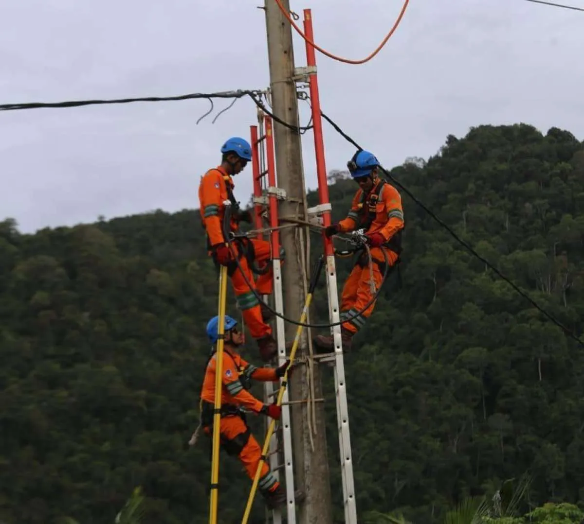 PLN Aceh punya tim Pekerjaan dalam Keadaan Bertegangan (PDKB), 2020 akan ditambah